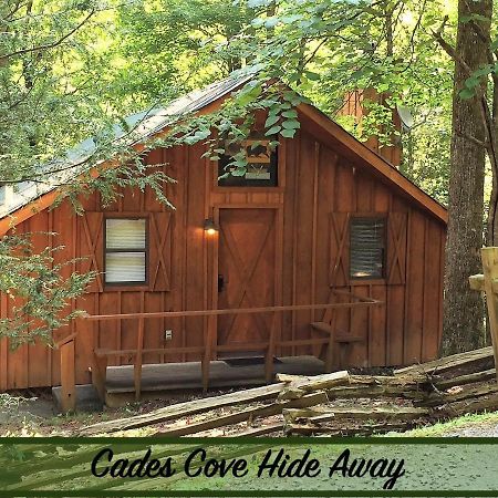 Cades Cove Hide Away Villa Townsend Eksteriør bilde